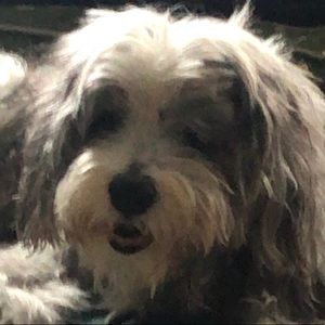 Meet your Posher, Brendan